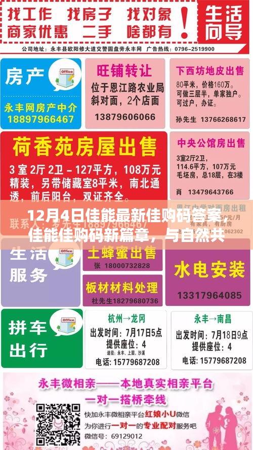 佳能佳購碼新篇章揭秘，與自然共舞，探尋心靈寧靜之地（12月4日最新答案）