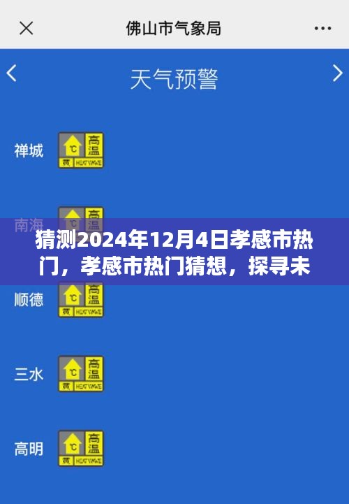 探尋孝感市未來魅力風(fēng)采，2024年12月4日熱門猜想與風(fēng)采展望