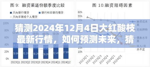 2024年預(yù)測，大紅酸枝最新行情展望與步驟指南