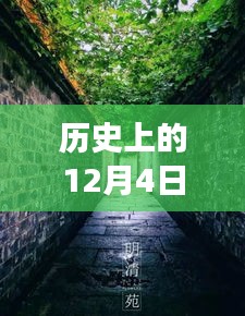 歷史上的12月4日潁上易景售樓盛況揭秘，巷陌間的夢幻售樓空間獨(dú)特記憶