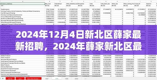 2024年新北區(qū)薛家最新招聘全攻略，適合初學(xué)者與進(jìn)階用戶的應(yīng)聘指南