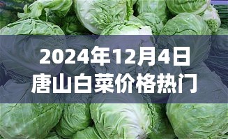 聯(lián)系我們 第29頁