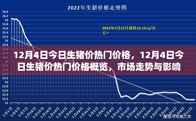 12月4日生豬價(jià)熱門概覽，深度解析市場(chǎng)走勢(shì)與影響因素