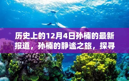 孫楠的靜謐之旅，探尋自然美景與內心力量的歷史報道（12月4日最新）