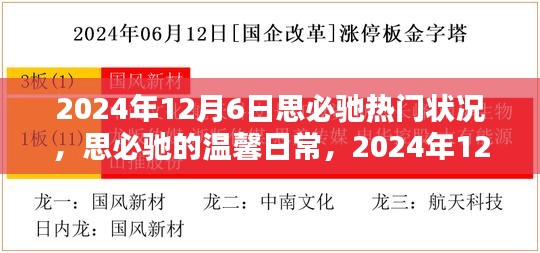 思必馳溫馨日常，揭秘2024年12月6日的奇妙時(shí)光