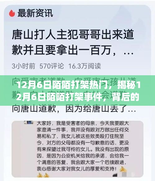 揭秘，12月6日陌陌打架事件背后的原因與影響熱議風潮