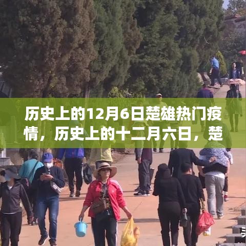 歷史上的十二月六日，楚雄疫情風(fēng)云變遷回顧