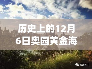 揭秘黃金海岸，歷史上的12月6日最新動(dòng)態(tài)與發(fā)展歷程揭秘