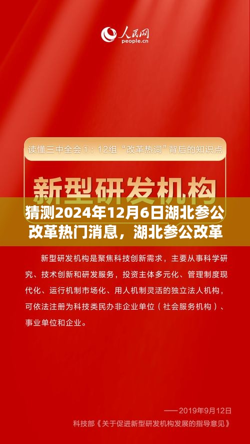 湖北參公改革展望，深度解析熱門消息，預(yù)測未來趨勢至2024年12月6日