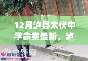 瀘縣太伏中學(xué)命案最新科技進展，智能安防系統(tǒng)重塑校園安全新篇章