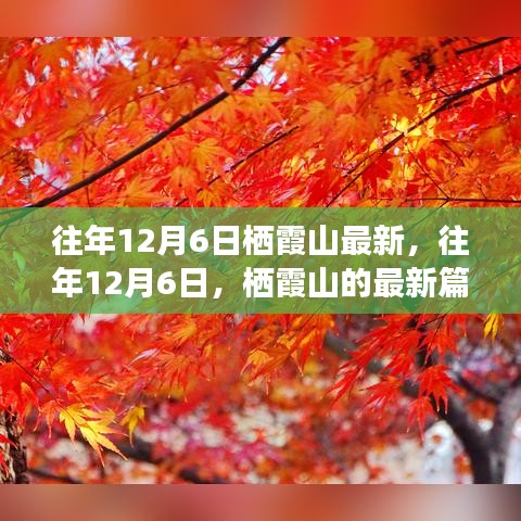 往年12月6日棲霞山深度解析，歷史、事件與地位的新篇章