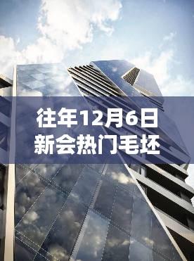 揭秘新會熱門毛坯二手樓市，購房者三大關(guān)注點解析（往年12月6日）