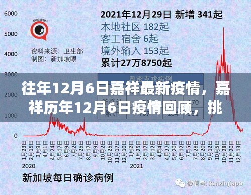 嘉祥歷年與當下疫情回顧，挑戰(zhàn)與堅守的印記，歷年與最新疫情動態(tài)分析。