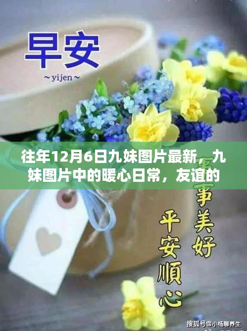 往年12月6日九妹圖片回顧，暖心日常與友誼的溫馨回憶