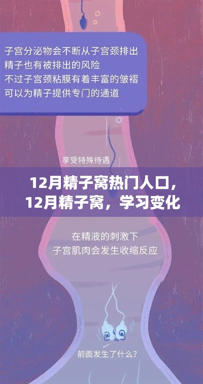 12月精子窩，學(xué)習(xí)變化與自信成就感的源泉，熱門人生的啟航地