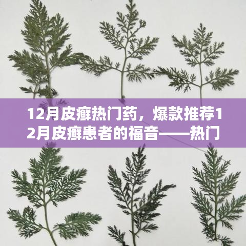 目不轉(zhuǎn)睛 第2頁