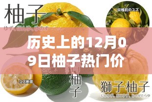 揭秘柚子歷史價格，柚子價格查詢?nèi)ヂ裕ㄟm合初學(xué)者與進階用戶）