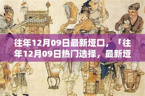 往年12月09日最新埡口產(chǎn)品評測與介紹，熱門選擇詳解