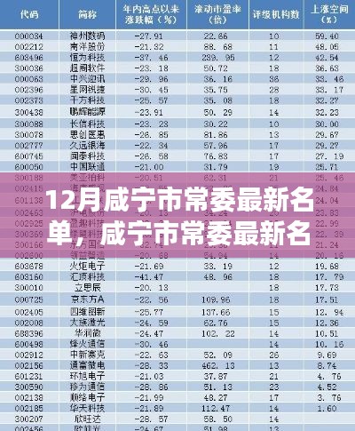 12月咸寧市常委最新名單，咸寧市常委最新名單科技新品亮相，智能時代，革新未來體驗