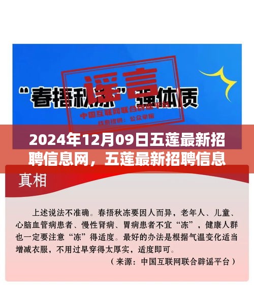 五蓮最新招聘信息網(wǎng)使用指南（初學(xué)者與進(jìn)階用戶適用，發(fā)布日期，2024年12月9日）