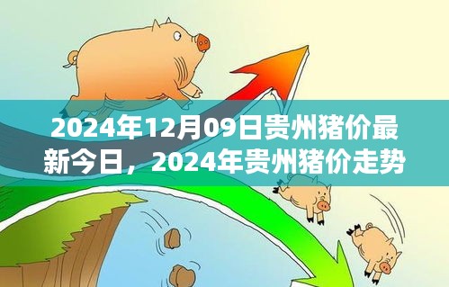 2024年貴州豬價(jià)走勢(shì)分析與深度探討，最新今日豬價(jià)及未來趨勢(shì)