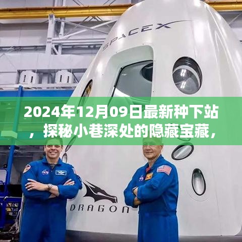 探秘最新種下站，小巷深處的隱藏寶藏與特色小店推薦（2024年12月09日）