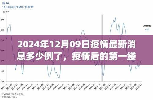 疫情最新消息下的自然美景之旅，啟程尋找內心的寧靜港灣（2024年12月09日）