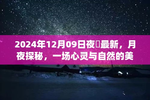 月夜探秘，心靈與自然的邂逅——記2024年12月09日夜廻之旅