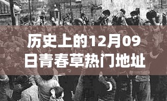 探尋青春草熱門地址背后的文化現(xiàn)象與青春記憶，歷史視角下的12月09日回顧