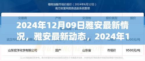 雅安最新動(dòng)態(tài)深度觀察，2024年12月09日最新情況報(bào)告