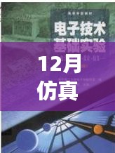 仿真之路，實時啟航，迎接自信與成就感的魔法時刻——十二月仿真需求解析