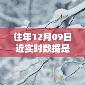 往年12月9日數(shù)據(jù)的魔法，溫馨回憶中的實時時光