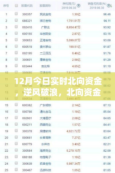 北向資金啟示下的成長(zhǎng)奇跡，12月實(shí)時(shí)洞察，自信成就夢(mèng)想之旅