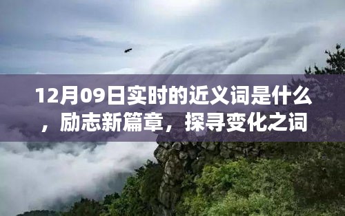 12月09日實(shí)時(shí)近義詞探索與勵(lì)志新篇章，探尋詞匯魔力，學(xué)習(xí)鑄就自信成就之橋