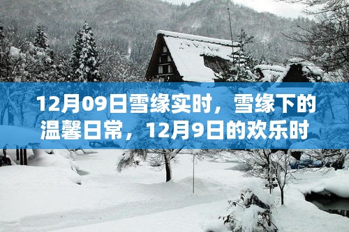 雪緣下的溫馨日常，12月9日的歡樂時(shí)光