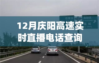 慶陽高速直播電話查詢背后的勵(lì)志故事，駕馭變化，駛向成功