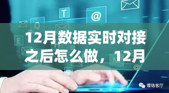 12月數(shù)據(jù)實時對接后的策略指南，多方考量與行動步驟