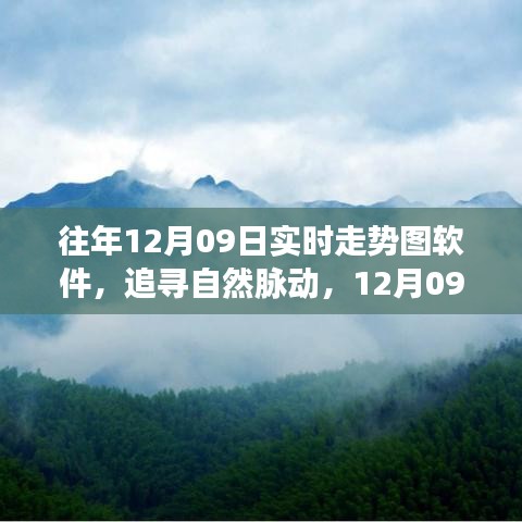 追尋自然脈動，12月09日走勢圖背后的心靈之旅與實時走勢圖軟件解析