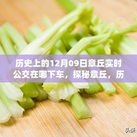 探秘章丘，歷史深處的公交軌跡與小巷美食寶藏——12月9日實時公交指南