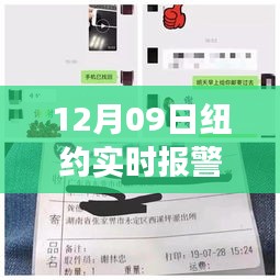 紐約實時報警電話背后的故事，變化、學習與自信的力量揭秘（附最新報警電話）