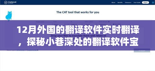 探秘十二月外國(guó)實(shí)時(shí)翻譯軟件，小巷深處的翻譯寶藏體驗(yàn)之旅