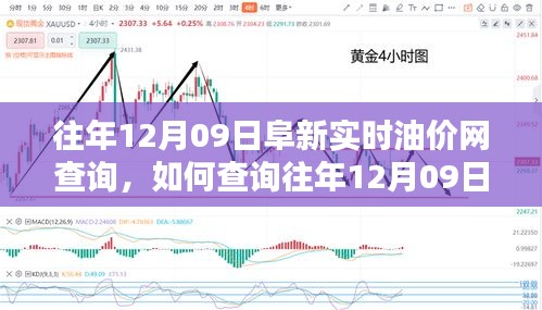 往年12月09日阜新實時油價網(wǎng)查詢攻略，初學(xué)者與進階用戶指南