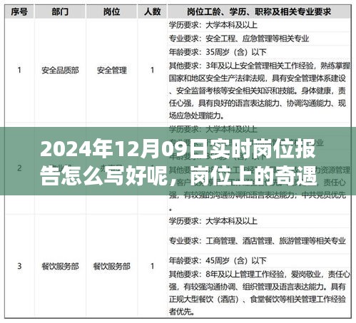 2024年12月09日崗位奇遇與溫馨日常實時報告