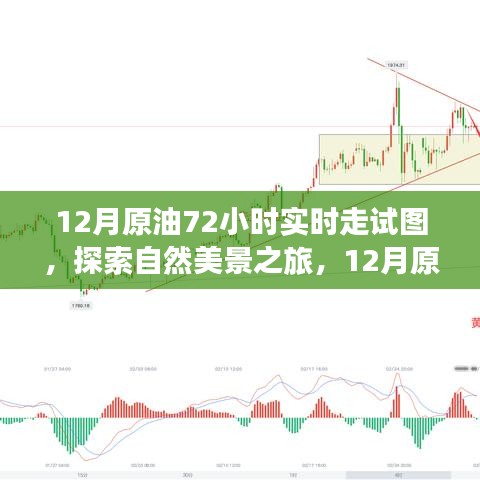 揭秘原油走勢圖背后的故事，探尋自然美景之旅的實(shí)時(shí)追蹤報(bào)告