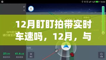 12月盯盯拍實時車速探尋美景之旅，與自然共舞，內(nèi)心寧靜之旅