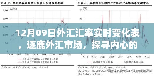 揭秘外匯市場(chǎng)風(fēng)云變幻，探尋匯率背后的故事——12月09日外匯匯率實(shí)時(shí)變化表解析