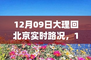 12月9日大理歸途，實(shí)時(shí)路況與心靈歸航的旅程故事