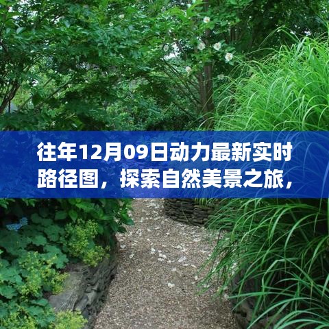 往年12月09日動力路徑圖，自然美景探索之旅的寧靜與和諧體驗