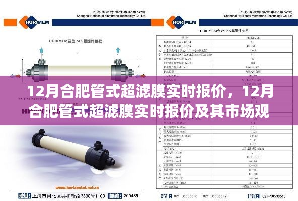 12月合肥管式超濾膜實時報價及市場觀點深度解析