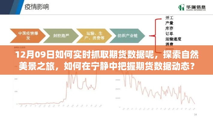 探索自然美景之旅與實時抓取期貨數(shù)據(jù)，寧靜中的動態(tài)把握策略